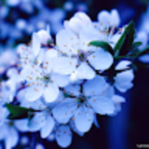 Meet your Posher, Ariella